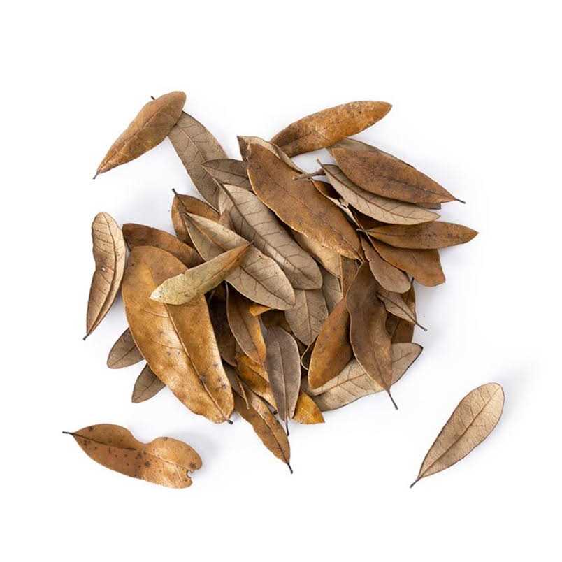 4 qt. Live Oak Leaf Litter K355