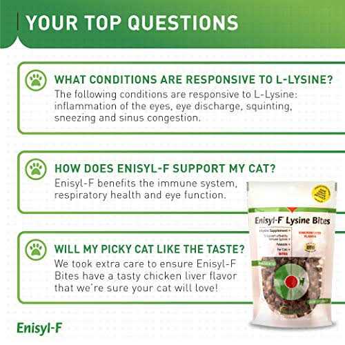 L-Lysine Chews for Cats K6389