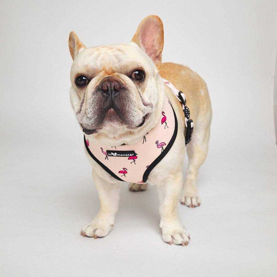 Reversible Dog Harness I653271
