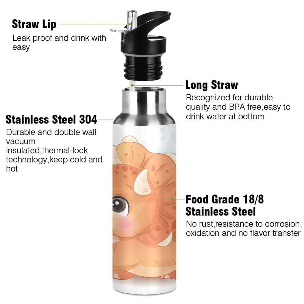 Stainless Steel Insulated Thermos Vacuum Flask Water Bottle with Straw Lid Y537845