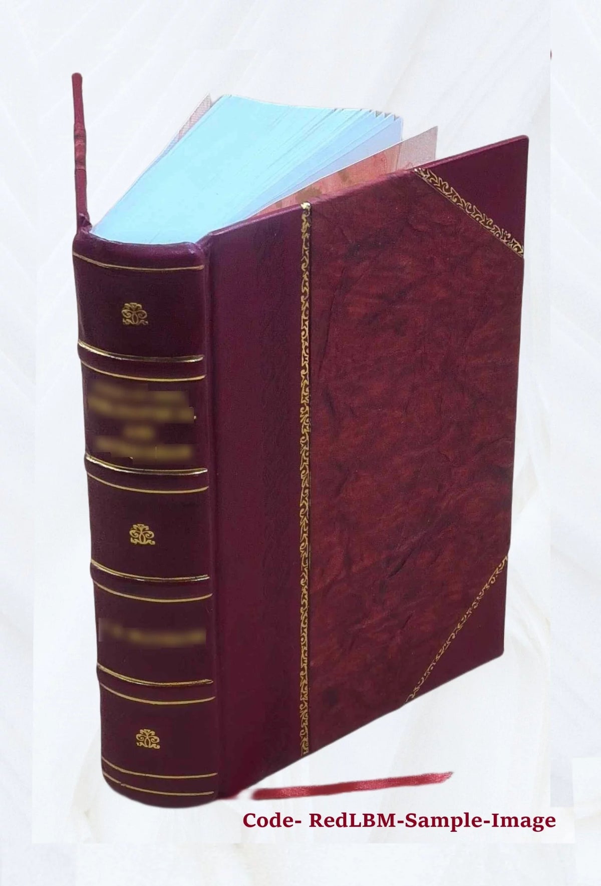 Leather Bound Book P935261