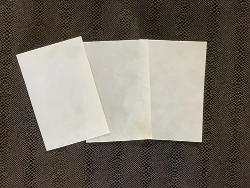 8 × 12 Goatskin Parchment Leather Sheet Y712