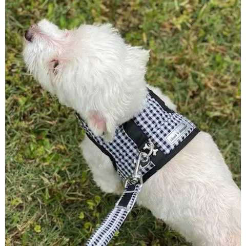 Teacup Gingham Dog Harness Vest T8947