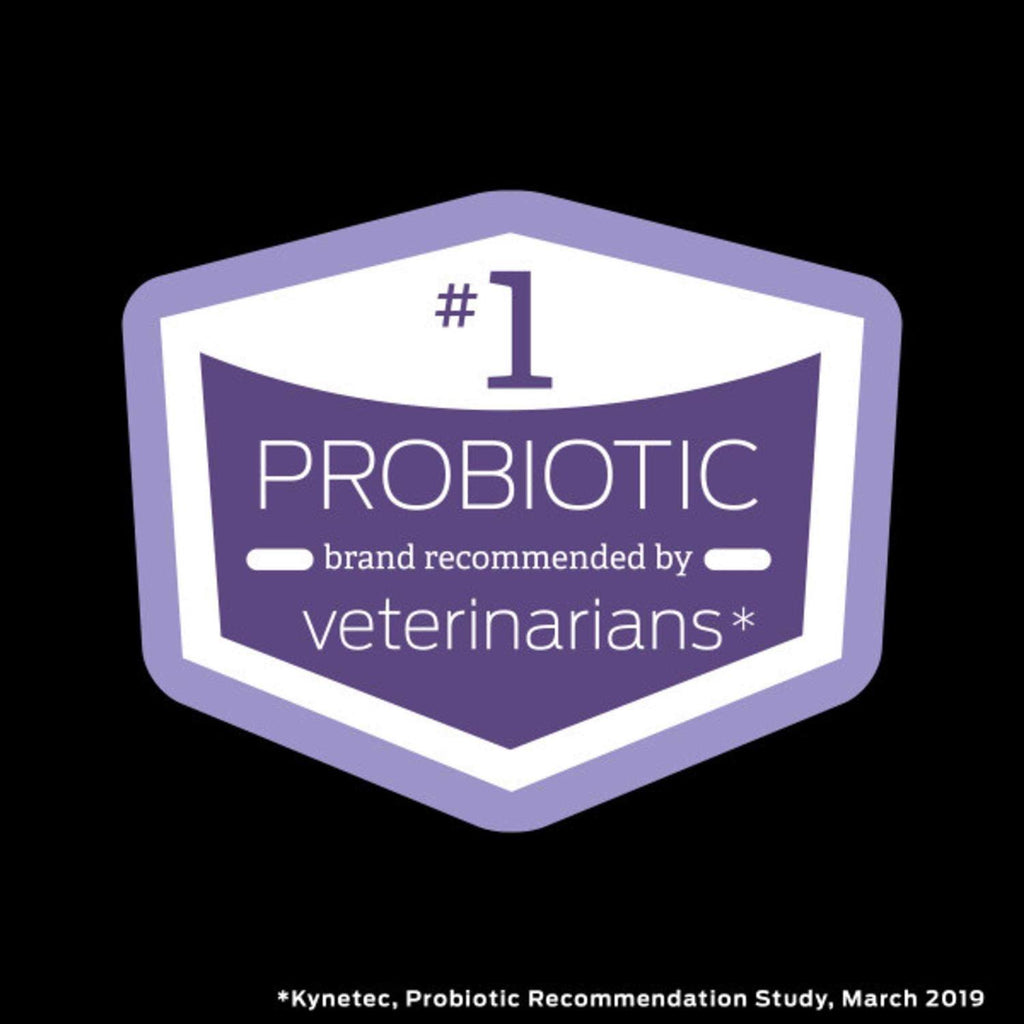 Probiotic Supplement Q61570