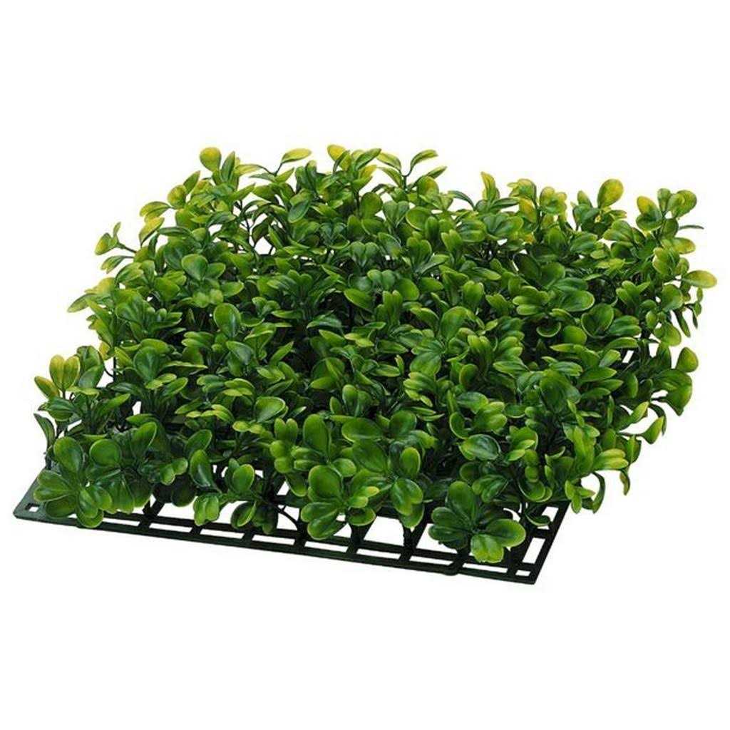 20 Gallons Aquatic Turtle Kit with Filter And Heating Lamps X71456