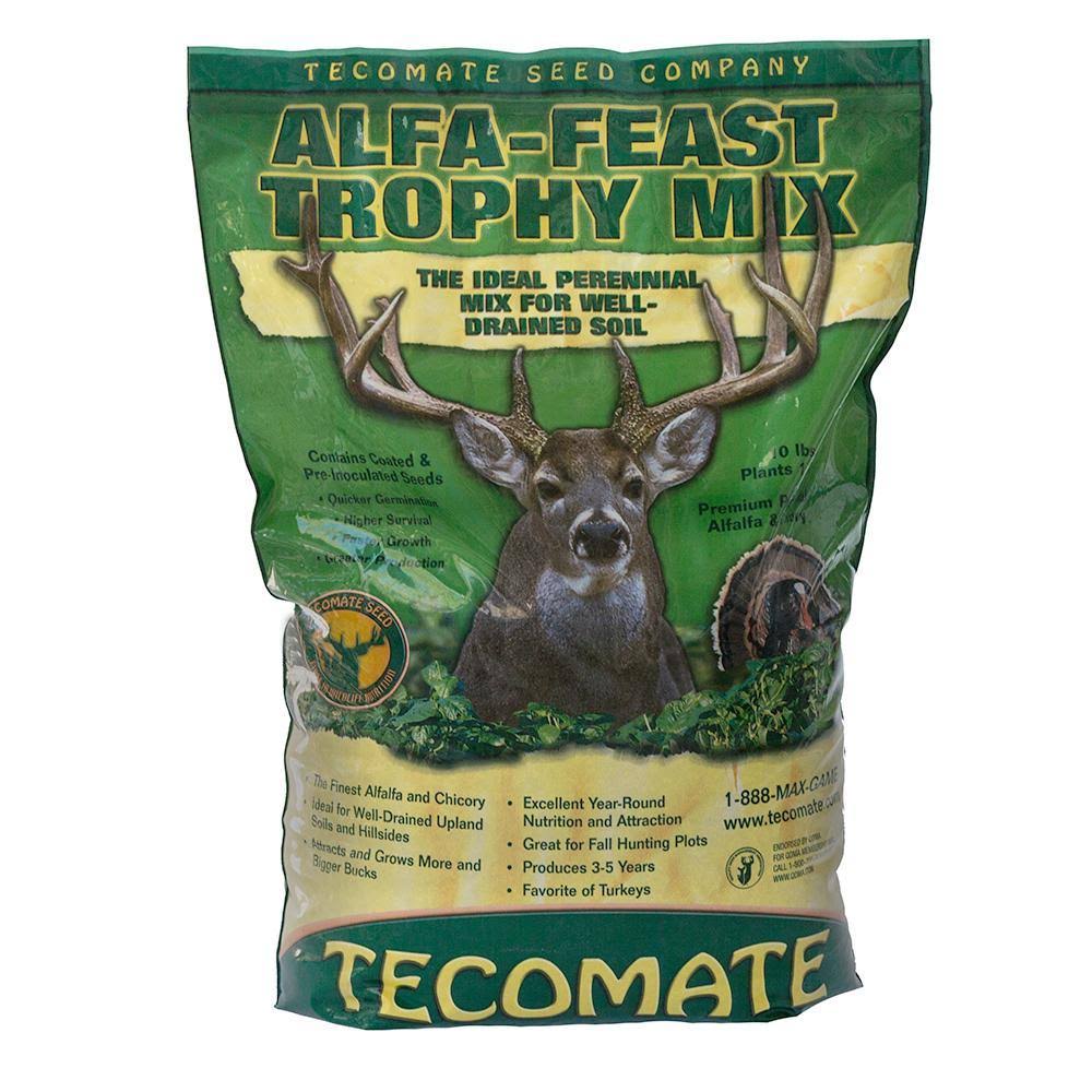 Perennial Food Plot Seed L318