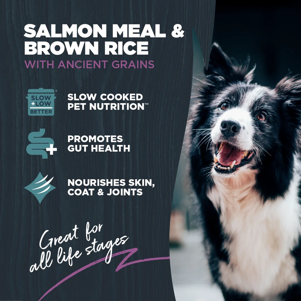 Blackwood Dry Dog Food Sensitive Skin & Stomach Salmon Meal with Ancient Grains 10 lb. C893