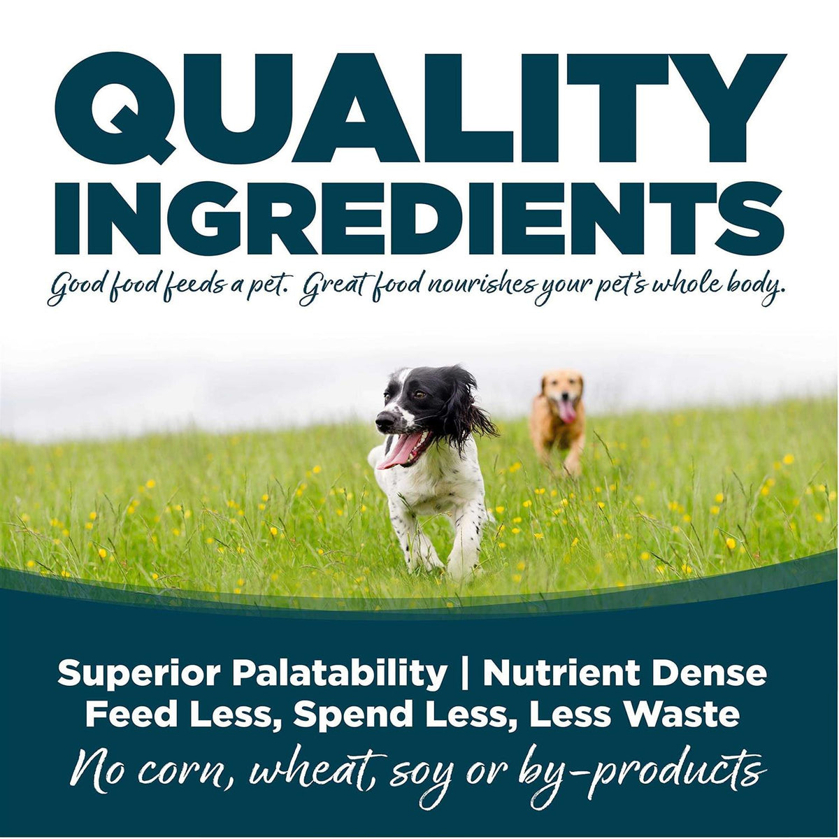 Small Bites Adult Chicken & Rice Dry Dog Food Q91108