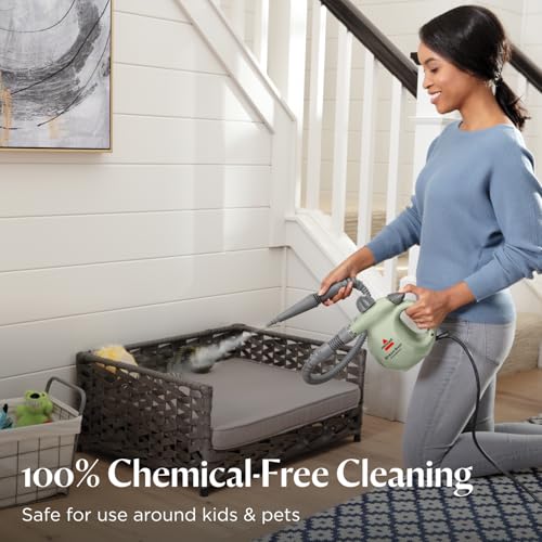 Handheld Portable Steam Cleaner with 10 Tools N905670