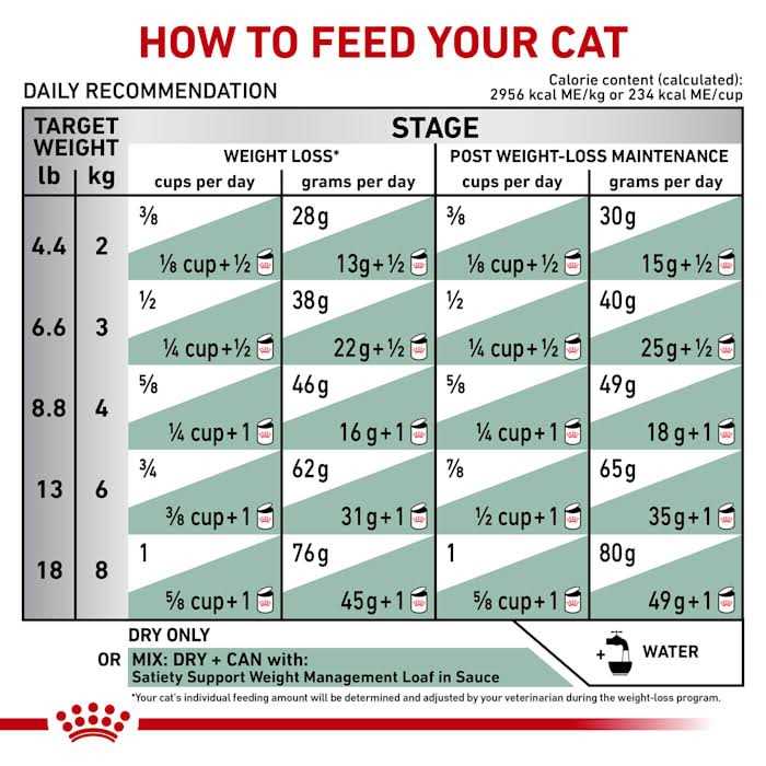 Veterinary Satiety Weight Management Pet Supplies L16108
