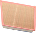 Air Filter V75342