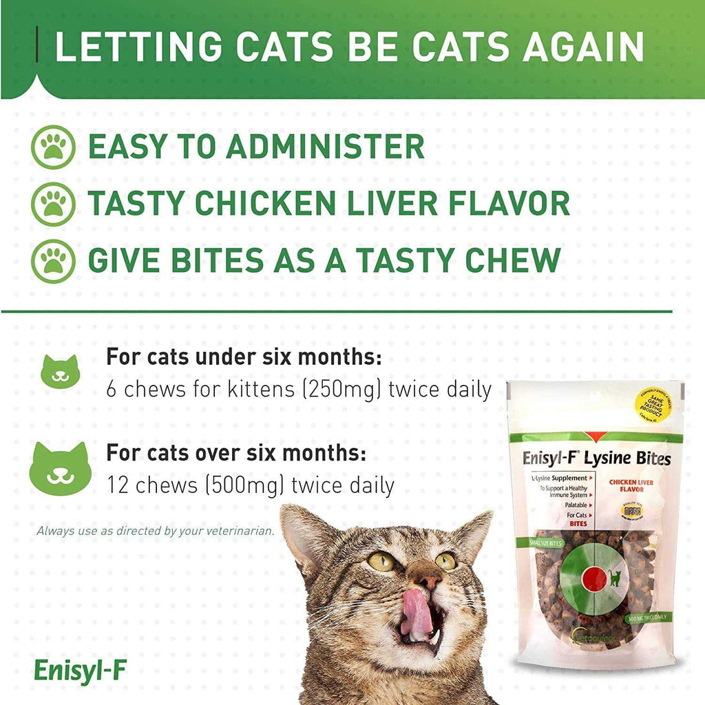 L-Lysine Chews for Cats K6389