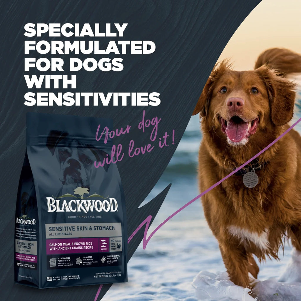 Blackwood Dry Dog Food Sensitive Skin & Stomach Salmon Meal with Ancient Grains 10 lb. C893
