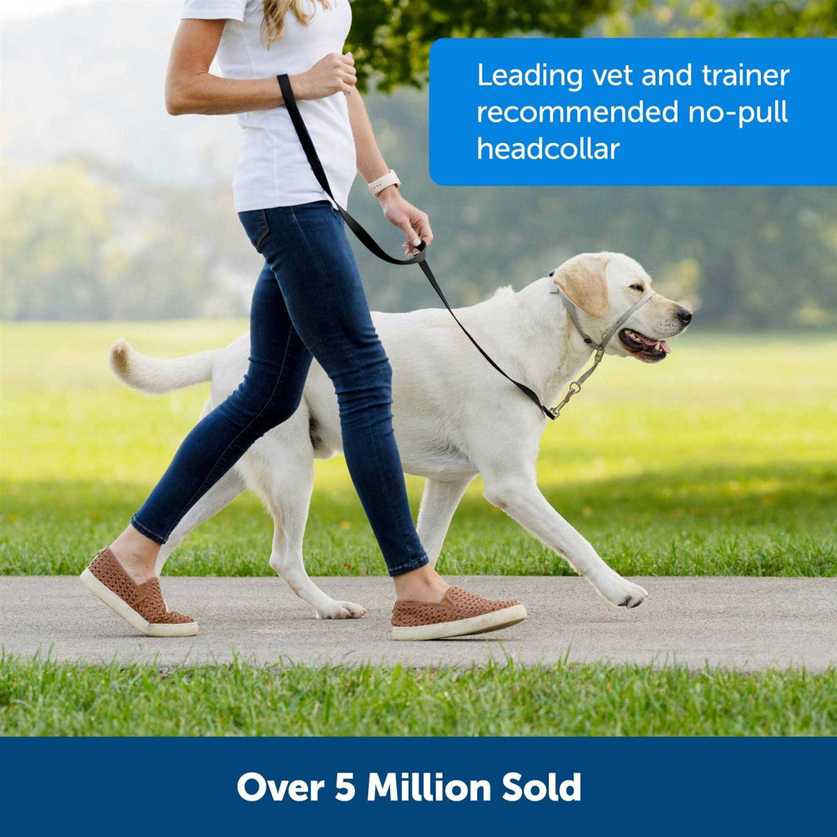 Headcollar Q33844