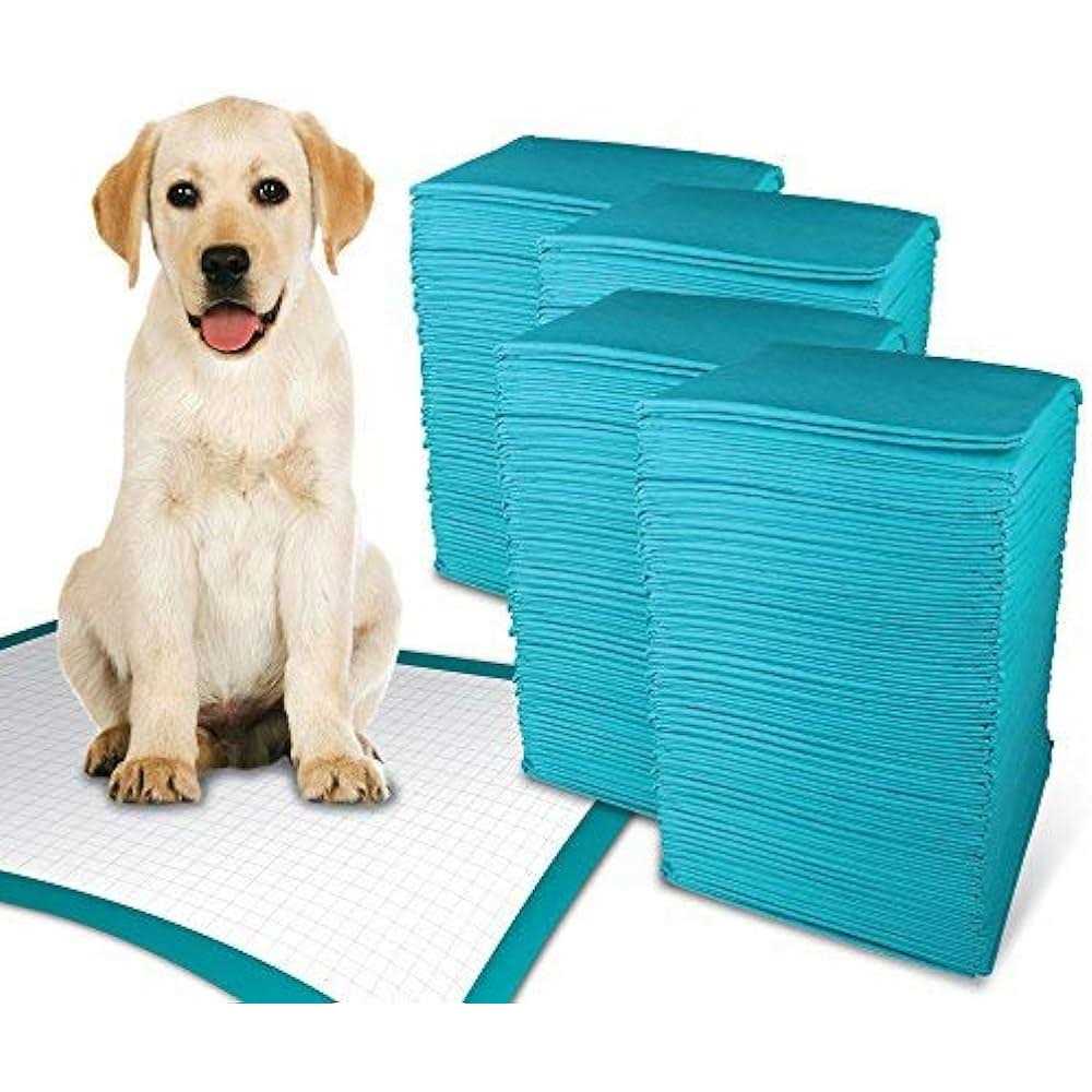 Extra Large Training Pads Y2604