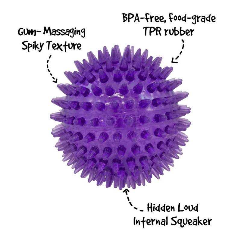 Squeaker Ball Dog Toy U89685