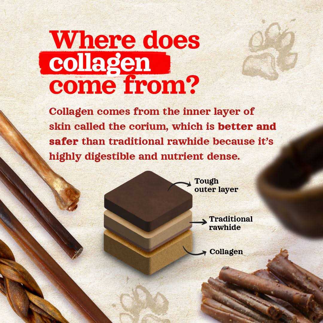 Collagen Sticks S7174