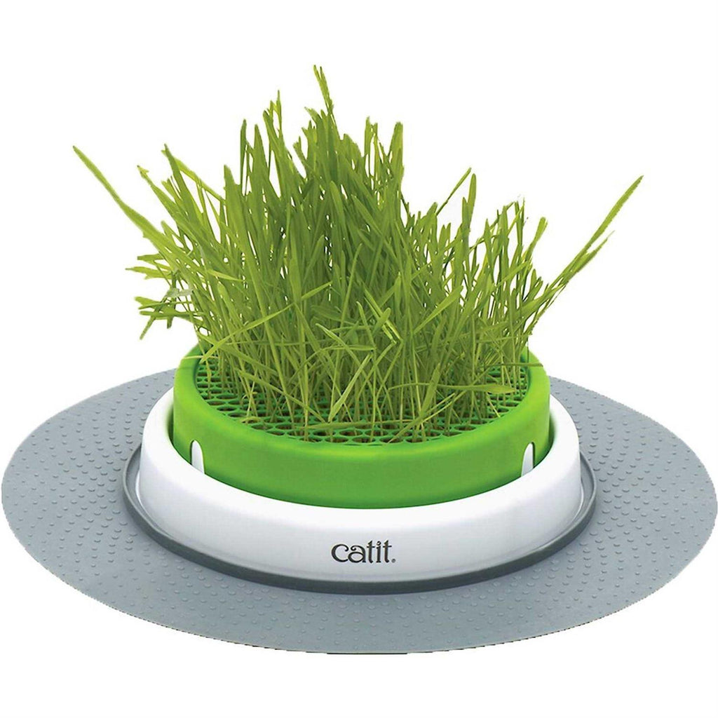 Grass Planter C40092