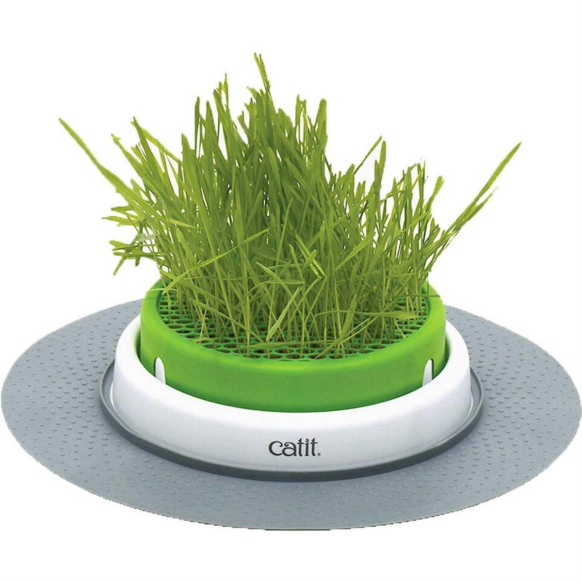 Grass Planter C40092