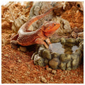 Stone Desert Substrate X204