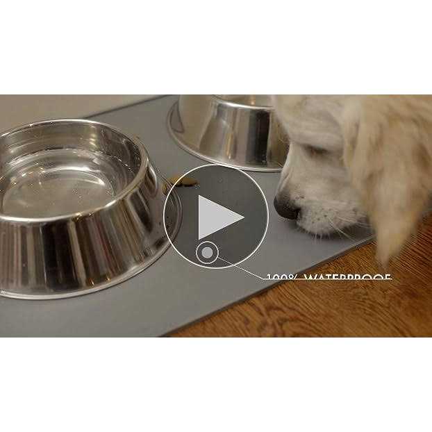 100% Waterproof BPA Free Silicone Pet Feeding Mat T559