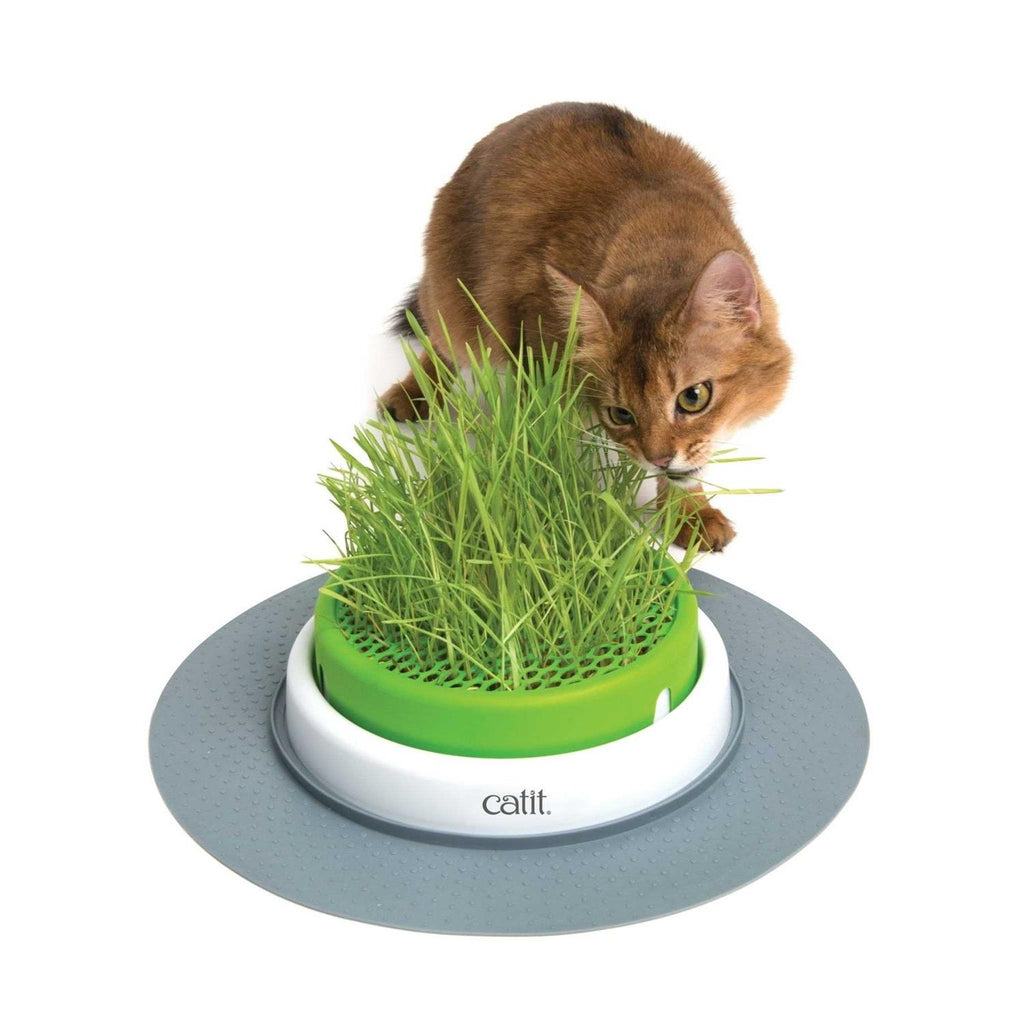 Grass Planter C40092