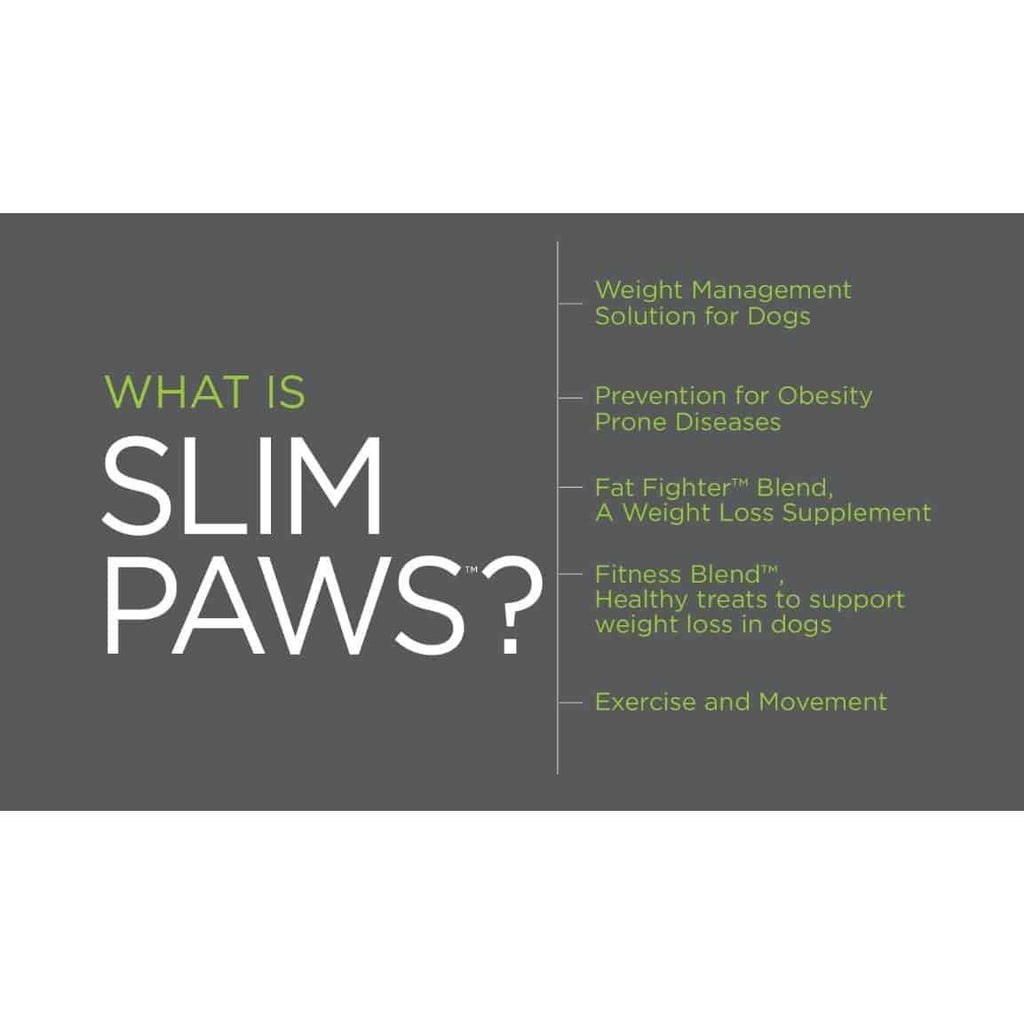 Weight Loss Soft Chews for Dogs 60 ct P396