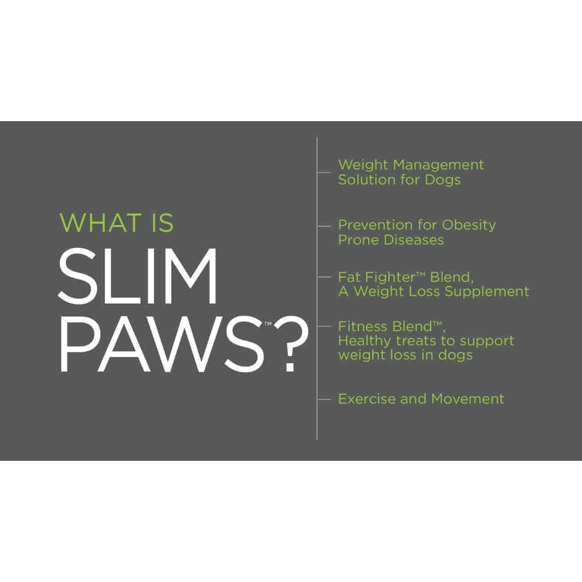 Weight Loss Soft Chews for Dogs 60 ct P396
