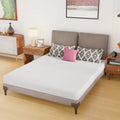 Queen Size 6 Inch Medium-Firm Foam Mattress Y7580