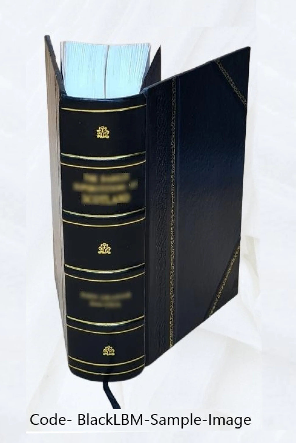 Leather Bound Book I5746