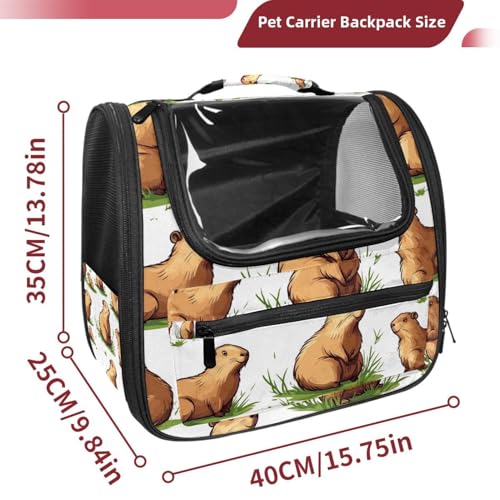 Airline Approved Pet Carrier Bag U4227