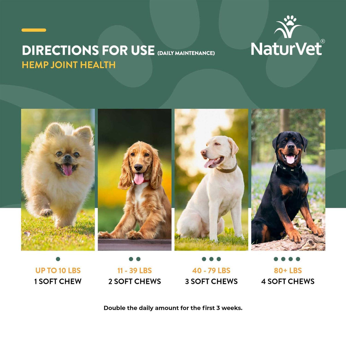 Hemp Joint Health for Dogs A403308