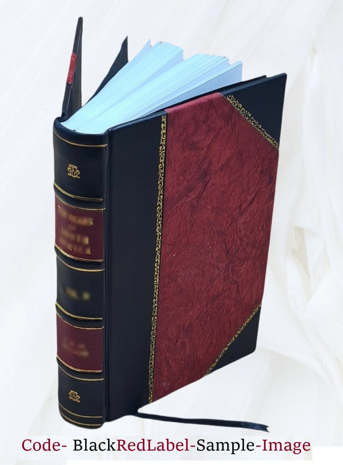 Leather Bound P45286