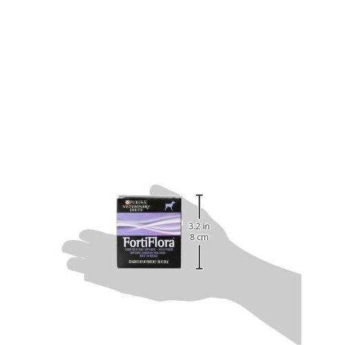 Probiotic Supplement Q61570