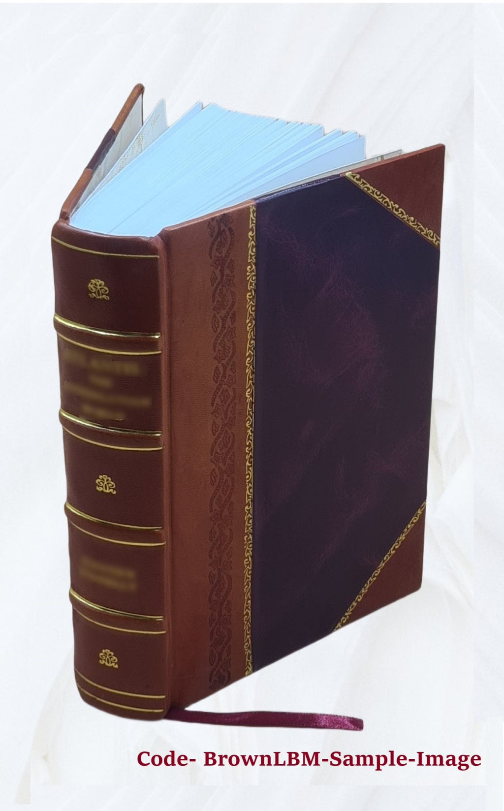 Leather Bound Book I5746