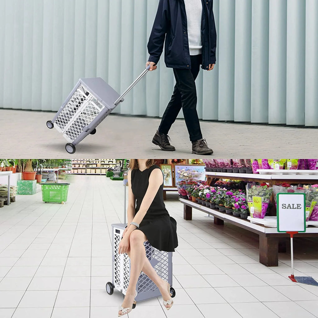 Foldable Rolling Crate with Lid Wheels, Gray S4848