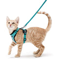 Cat Harness and Leash C68778