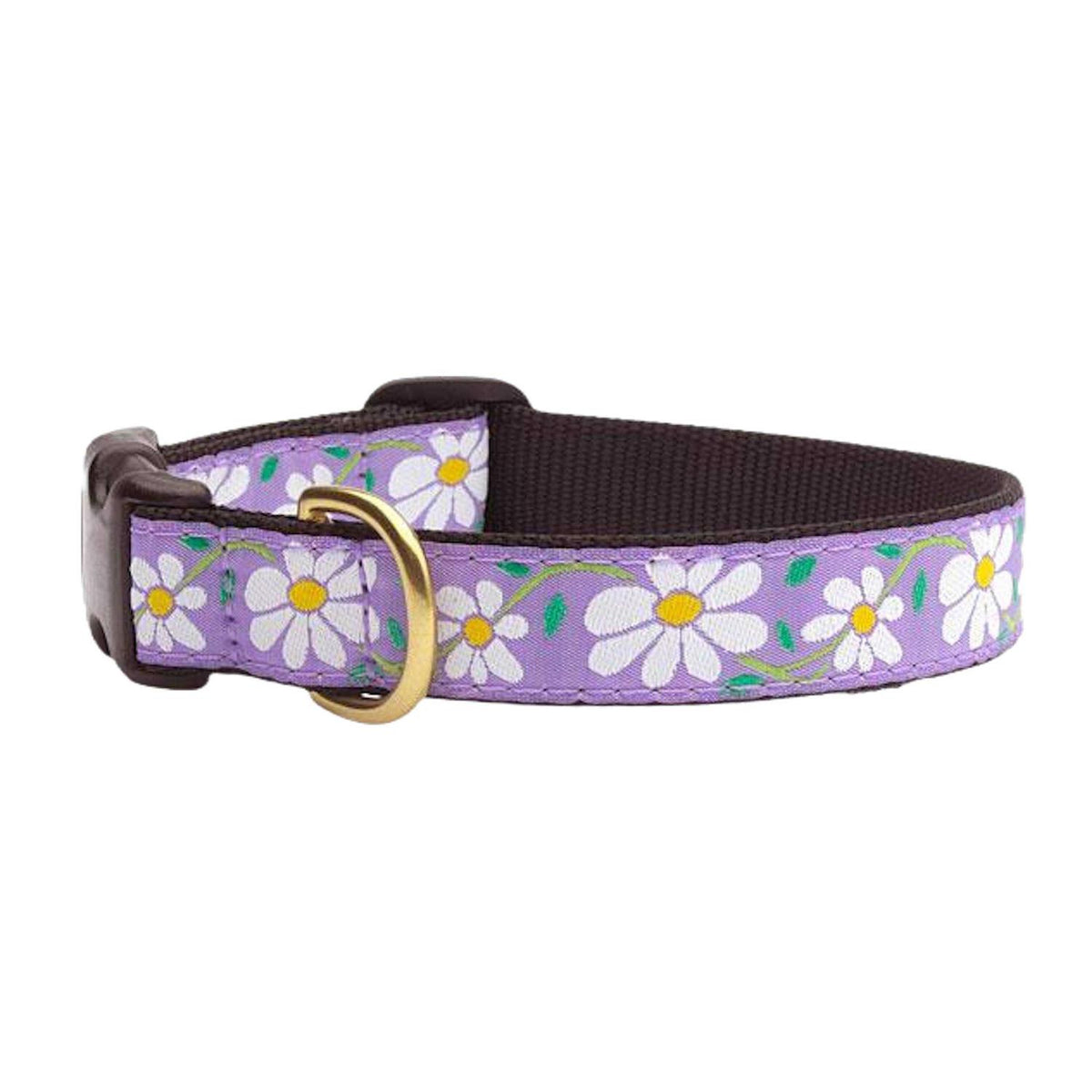 Dog Collar F974
