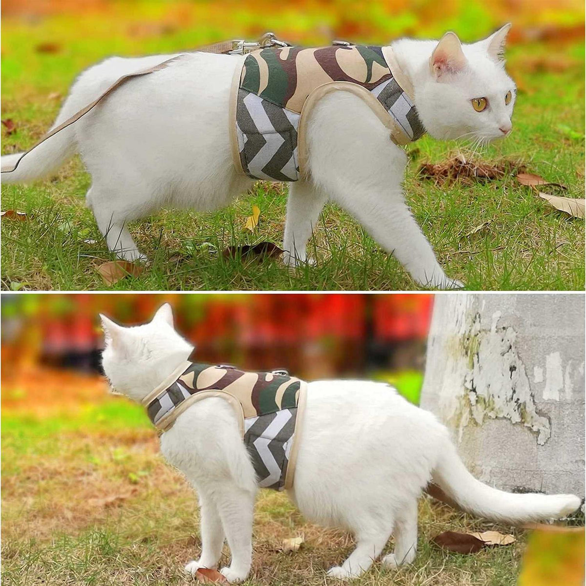 Cat Harness and Leash W209085