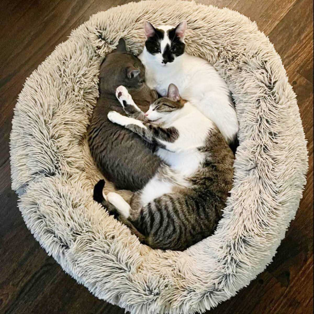 Cuddle Bed T582294