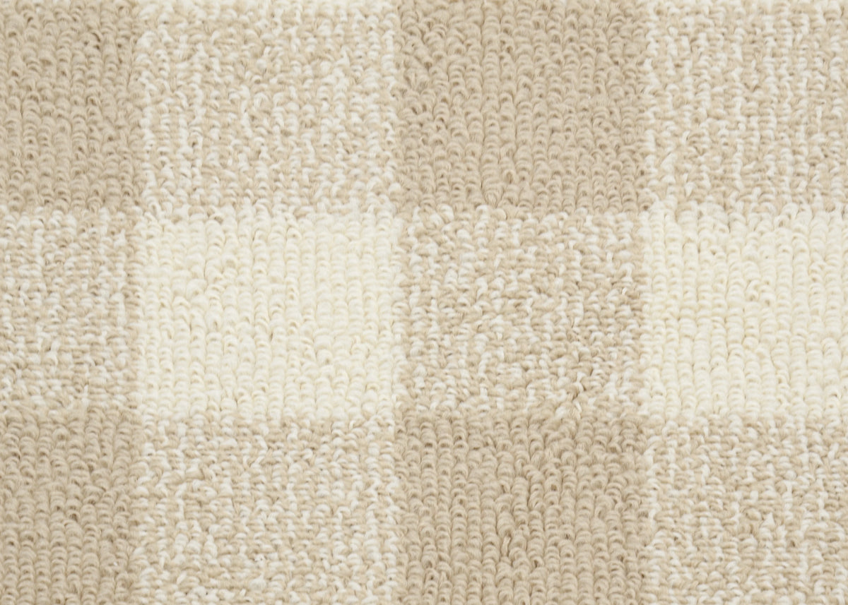 Tan/Ivory Buffalo Plaid 7 ft. x 10 ft. Area Rug B5163