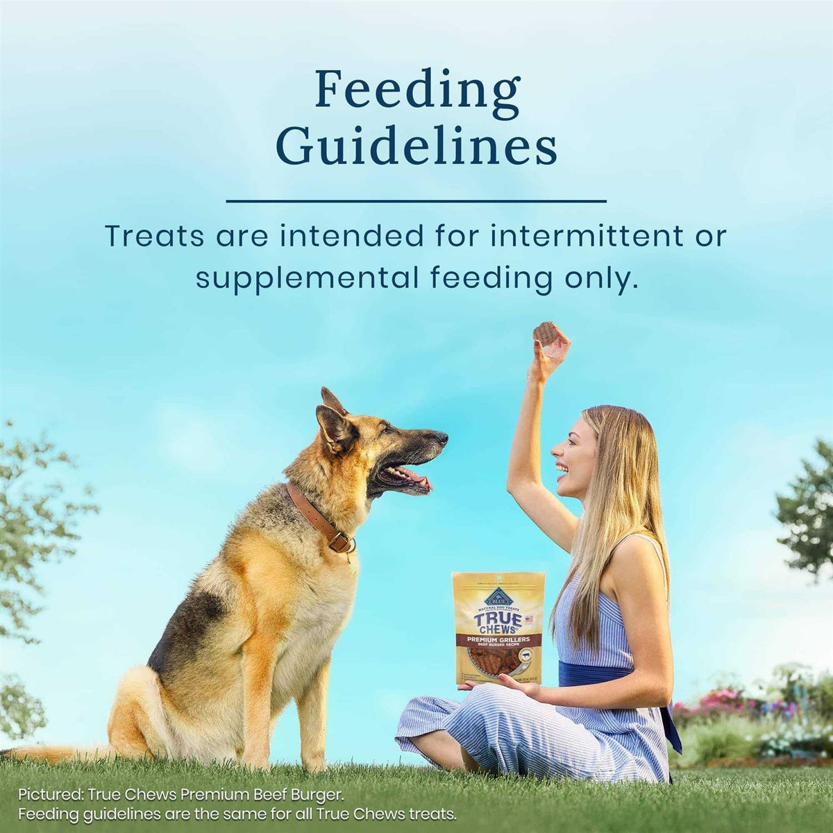 Pork & Chicken Sausage Natural Dog Treats G618
