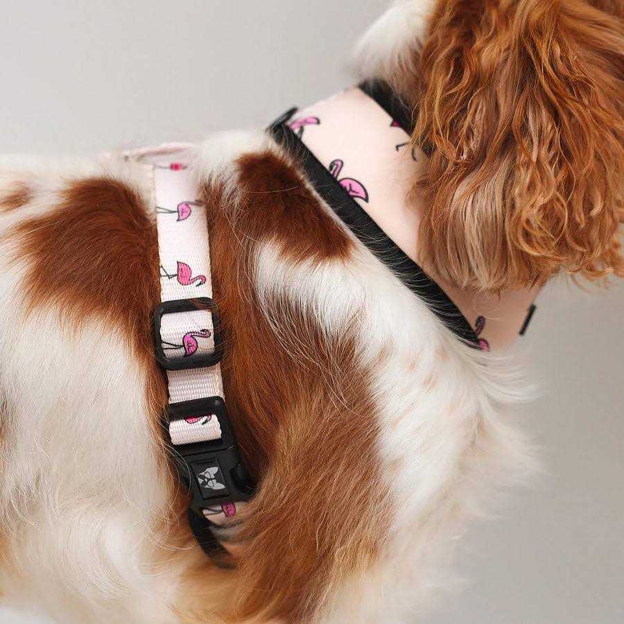 Reversible Dog Harness I653271