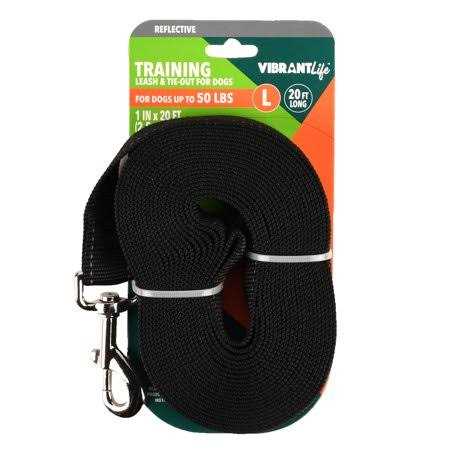 Polyester Slip Lead Dog Leash V111734
