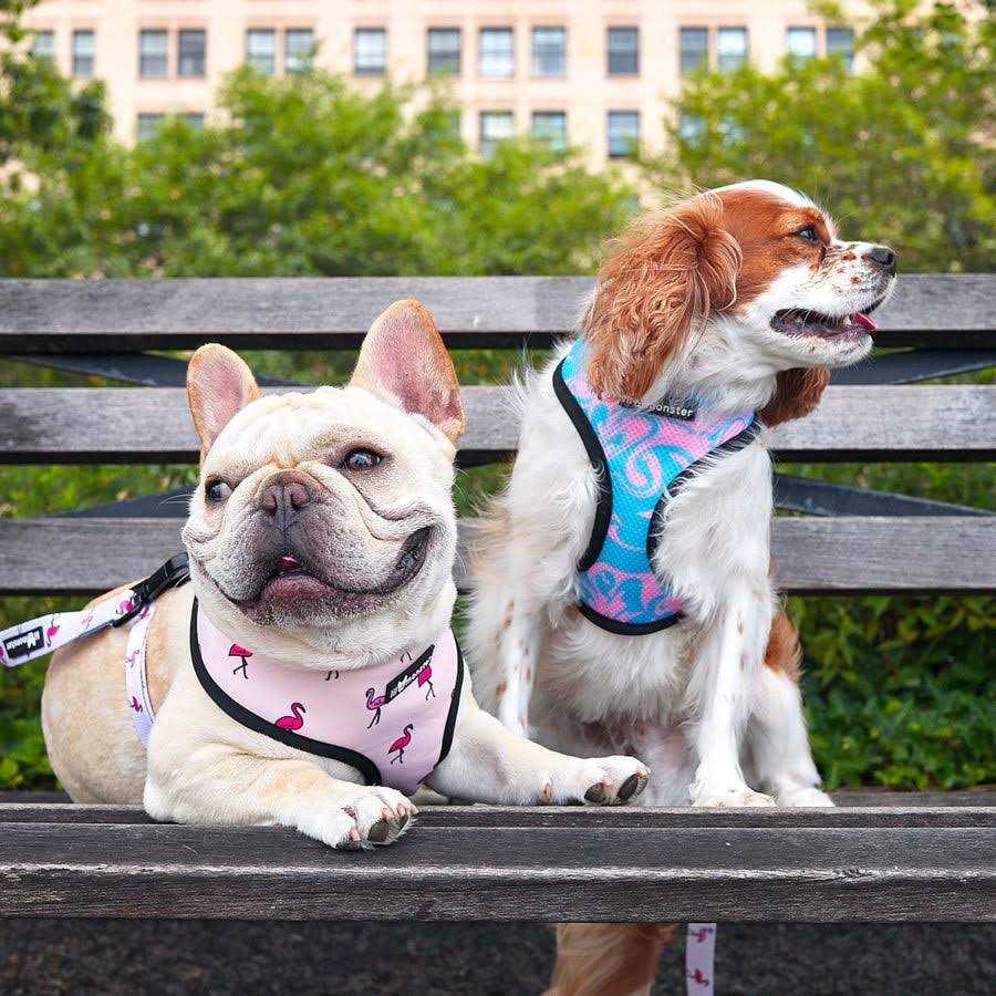 Reversible Dog Harness I653271