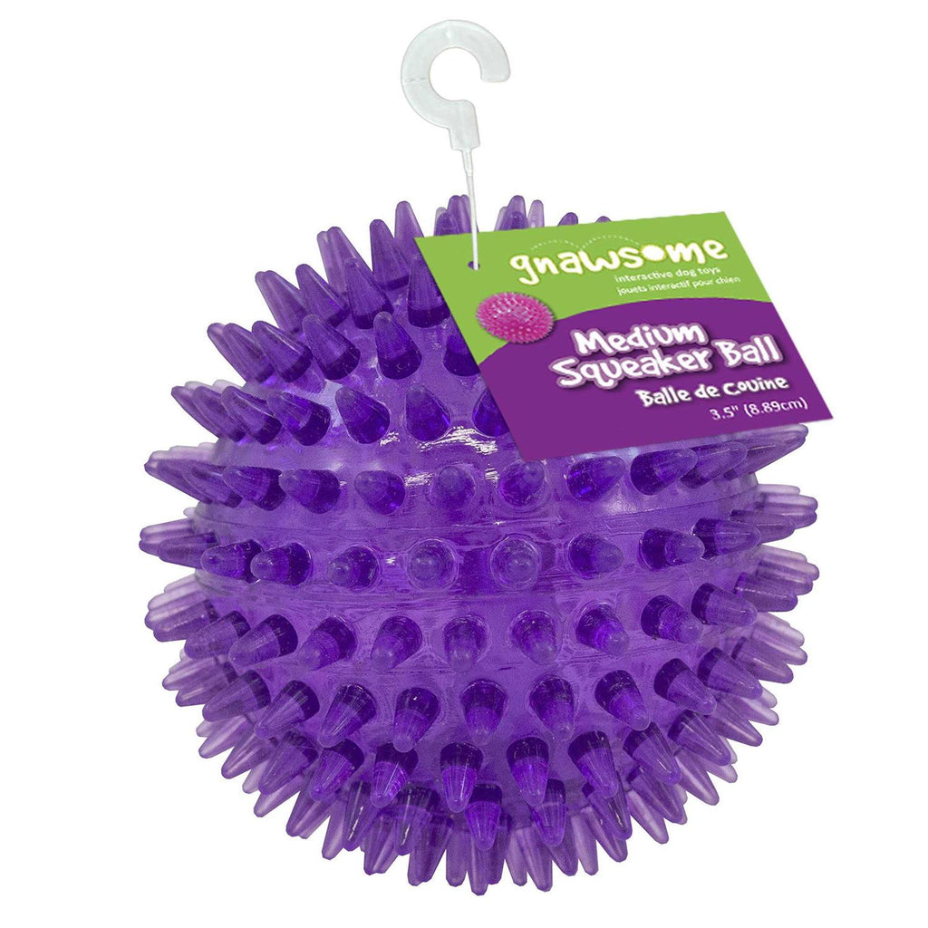 Squeaker Ball Dog Toy U89685
