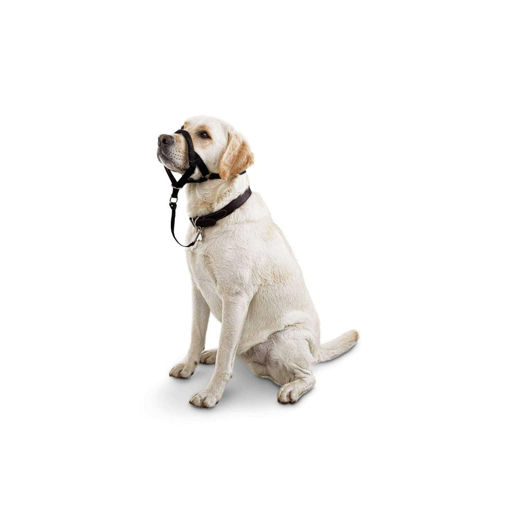 Head Halter L238342