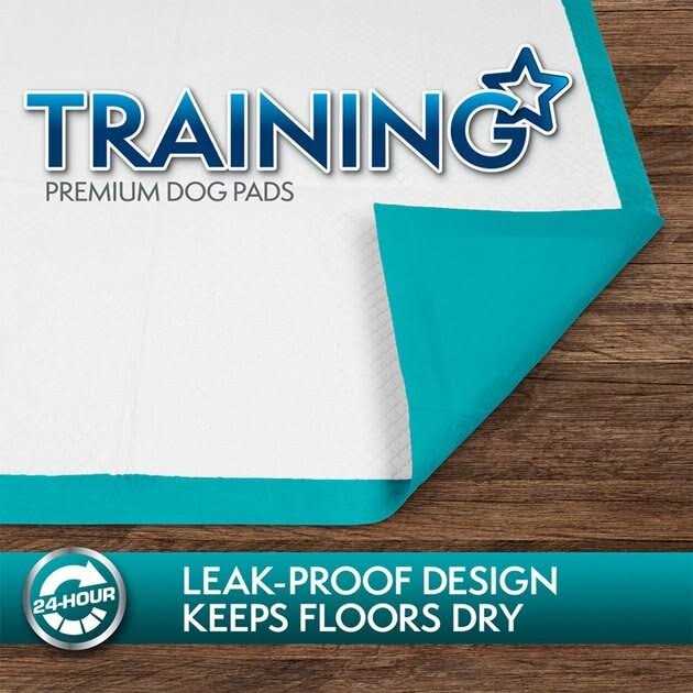 Extra Large Training Pads Y2604