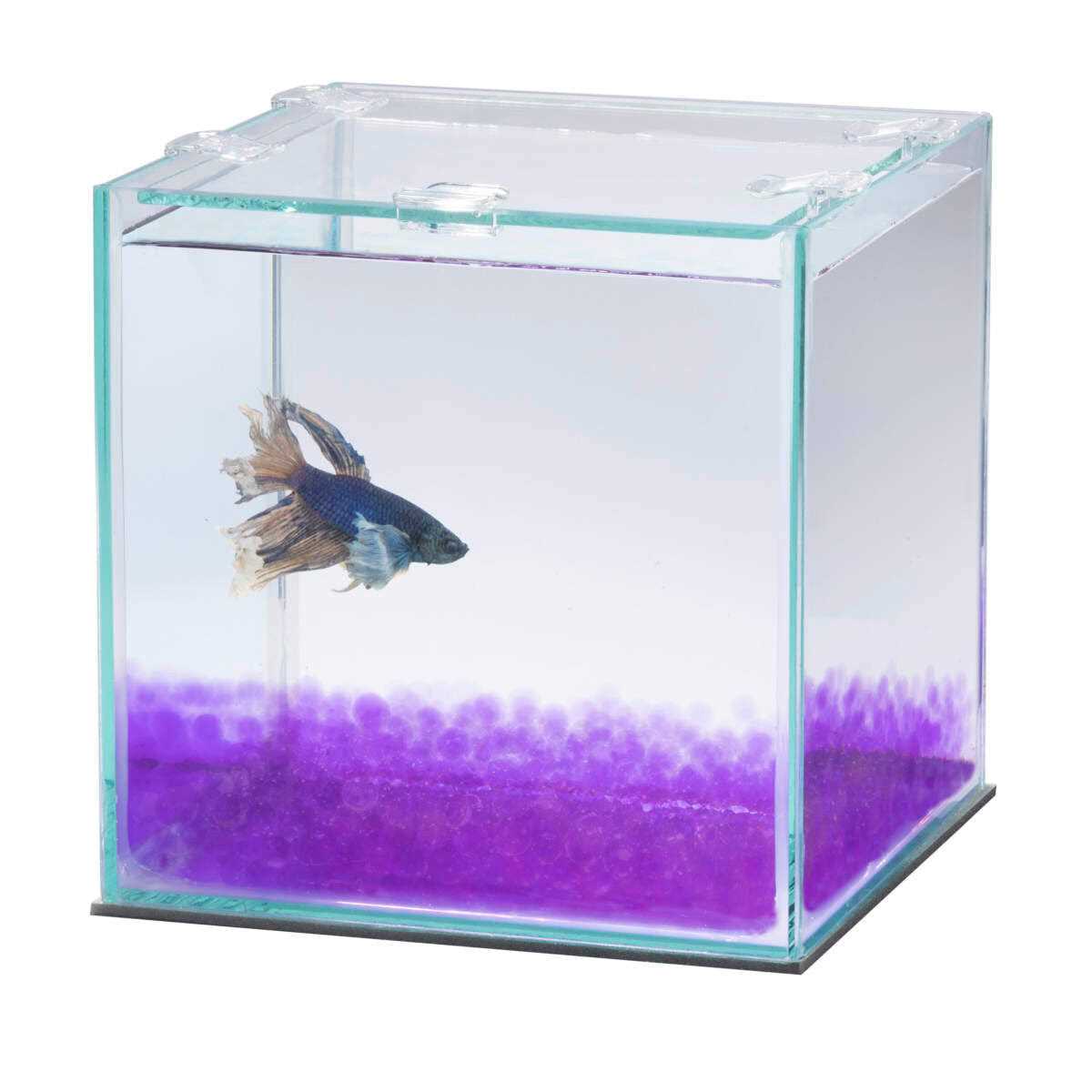Betta Beads O217942