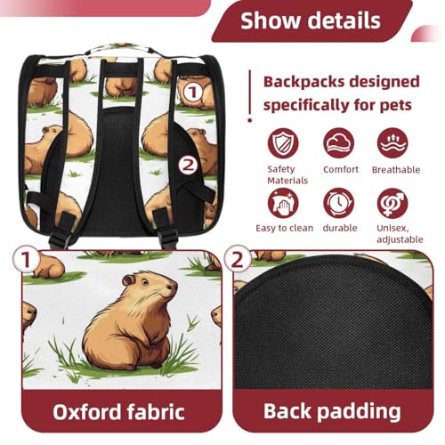 Airline Approved Pet Carrier Bag U4227